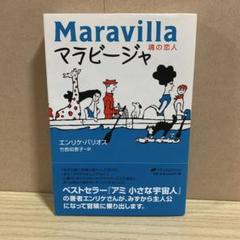 ツインソウル: なんのために双子の魂はめぐり逢うのか (5次元