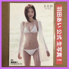 羽田あい 公式 生写真 DVD 特典 / グラビアアイドル チェキ セクシー女優