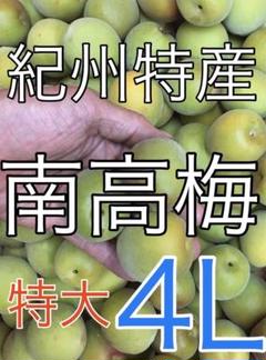 紀州南高梅 優品 5キロ 8000円サイズ混合 | Shop at Mercari
