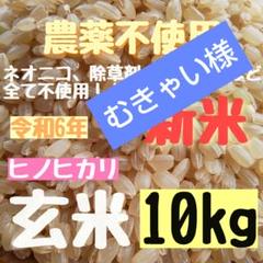 2025年最新】無農薬 玄米 10kgの人気アイテム - メルカリ