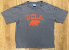 UCLA×CIAOPANIC TYPY Tシャツ　140-150