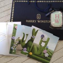 ハリーウィンストン　シャンパン　非売品 HARRY WINSTON（シャンパン/スパークリングワイン）のフリマ