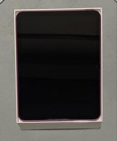 Apple iPad ピンク 256GB 本体とカバー付き