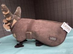 アグ　UGG  犬服　SHEEPSKIN DOG JACKET  冬用　こげ茶のサムネイル