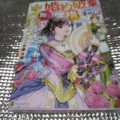 婚約破棄ですか　 別に構いませんよ