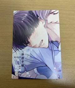 体感予報　鯛野ニッケ　初版　特典　アニメイト小冊子　コミコミ　とらのあな アニメイト・とらのあな・コミコミ特典付◇体感予報 鯛野ニッケ