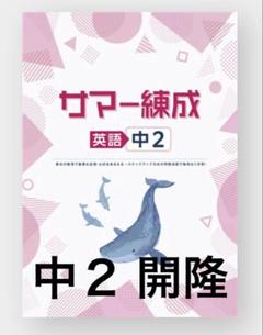 錬成会　テキスト　錬成ワーク　中2 中学2年 数学/理科/英語/地理/歴史 市進学院 テキスト ホームタスク中2 国語 数学 英語 理科 地理II