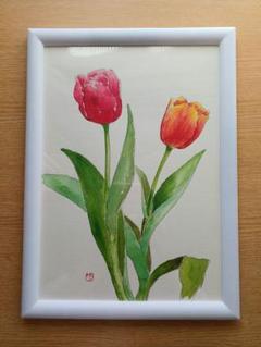 西澤 昭二 水彩画「あんず花 咲く」