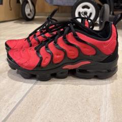NIKE ベイパーマックス 日本未発売カラー