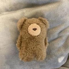 ほっこりモコモカ ぬいぐるみキーホルダー INI