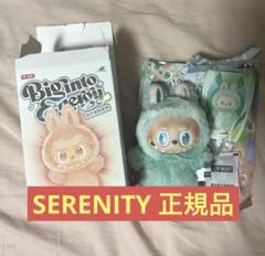 ラブブTHE MONSTERS Biginto Energy SERENITY e016a08d2f95420382b2862a577d61
