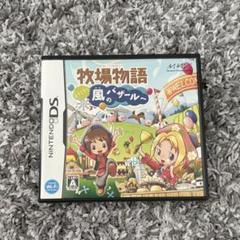 ニンテンドーDSソフト　牧場物語　ようこそ！風のバザールへ　Nintendo