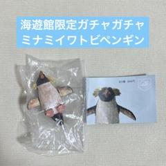 海遊館限定　ガチャガチャ　ミナミイワトビペンギン　はしもとみおの彫刻