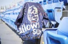 ☆新品 非売品☆ヤクルトスワローズ　スワサマ　限定　法被　ハッピ