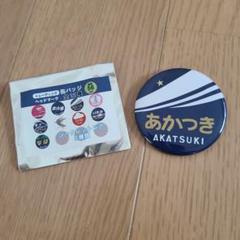新潟鉄道シリーズ　トレーディング缶バッジ（1箱セット） 新潟鉄道シリーズ トレーディング 缶バッジ（1箱セット15個入り