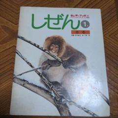 しぜん　23冊セット♡ フレーベル館　　2021 2025年最新】Yahoo!オークション -しぜん フレーベル(本、雑誌