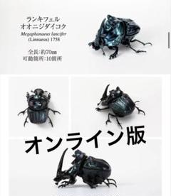 Amazon | 【ランキフェルオオニジダイコク】 いきもの大図鑑