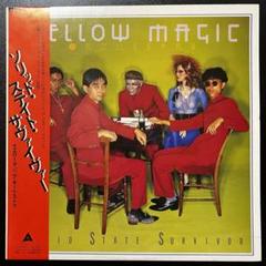 YMO ソリッド・ステイト・サヴァイヴァー 79年原盤 カラーレコード ALFA YMO ソリッド・ステイト・サヴァイヴァー 79年原盤 カラー