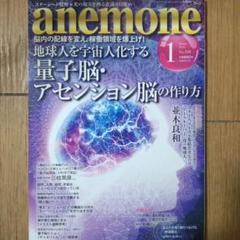 anemone 雑誌セット 2022年～2025年　不揃い19冊セット anemone（アネモネ）の最新号【2025年8月号 (発売日2025年07月09