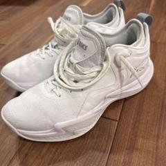 ASICS NOVA SURGE 3 ホワイト　28.5 NOVA SURGE 3 | WHITE/GLACIER GREY | メンズ バスケットボール