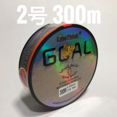 PEライン 2号 300m マルチカラー