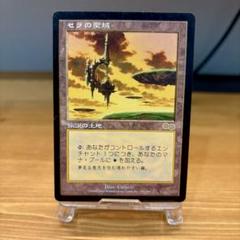 2025年最新】mtg セラの聖域の人気アイテム - メルカリ