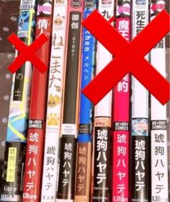 琥狗ハヤテの中古 未使用品 メルカリ