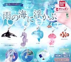 雨の海に浮かぶ　めじるしアクセサリー　タツノオトシゴ