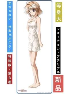 特装版「FORTUNE　ARTERIAL 赤い約束」第3巻　等身大特製布ポスター