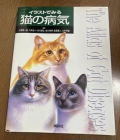 イラストでみる犬の病気・イラストでみる猫の病気（2冊セット） Amazon.co.jp: 「イラストでみる犬の病気」「イラストでみる猫の