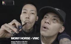 MONY HORSE x VMC CBD WAX ポスター MONY HORSE x VMC CBD WAX ポスター - メルカリ