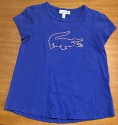 LACOSTE キッズ　Tシャツ