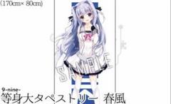 ライナー・ブラウン ほぼ等身大タペストリー ドールズフロントライン B2タペストリー 27 鉄血学園