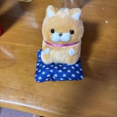 柴犬ぬいぐるみ 青いクッション付き