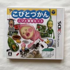 3DS カセット　ソフト　こびとづかんこびと観察セット