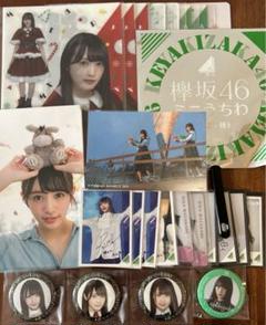 Amazon.co.jp: 櫻坂46 日向坂46 クリアファイル 全10枚セット G