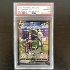 ジャローダV CSR PSA10のサムネイル