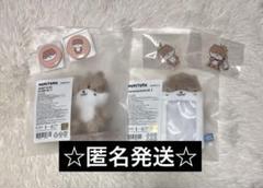 SEVENTEEN ミニティーン チャンダリ ディノ セット