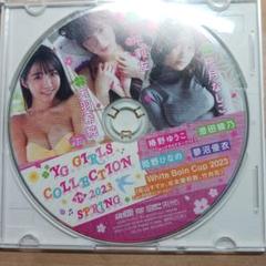 ヤングガンガン　付録DVD