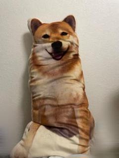 2025年最新】柴犬まる クッションの人気アイテム - メルカリ
