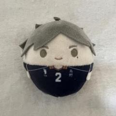 ハイキュー！菅原孝支ぬいぐるみペンポーチ m24455325842_1.jpg?1712221926