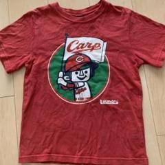 ランドリー　Carp Tシャツ 140