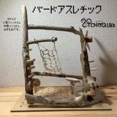 ハンドメイド製 バードアスレチック Mサイズ ふくちよラボ