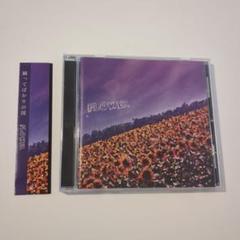 踊ってばかりの国　CD 4枚セット Amazon.co.jp: SONGS: ミュージック