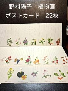 野村陽子　絵葉書集 里山の四季を描く Amazon.co.jp: 野村陽子 絵葉書集 里山の四季を描く : おもちゃ