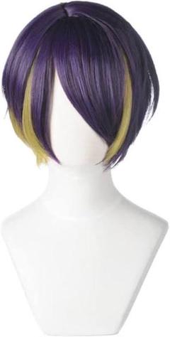 仙石忍 ウィッグセット済み cc369f476f184208afb9a2432a7b4b