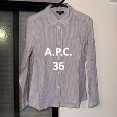 2025年最新】apcブラウスの人気アイテム - メルカリ