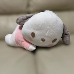 ポチャッコ　お昼寝　ぬいぐるみ