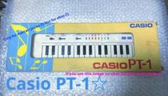 Vintage Casio PT-1 Mini Keyboard Synthesizer Made In Japan