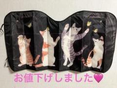 猫好きにはたまらんサンシェードのサムネイル